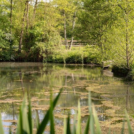 La Sittelle Des Aguesses Andenne Exterior foto
