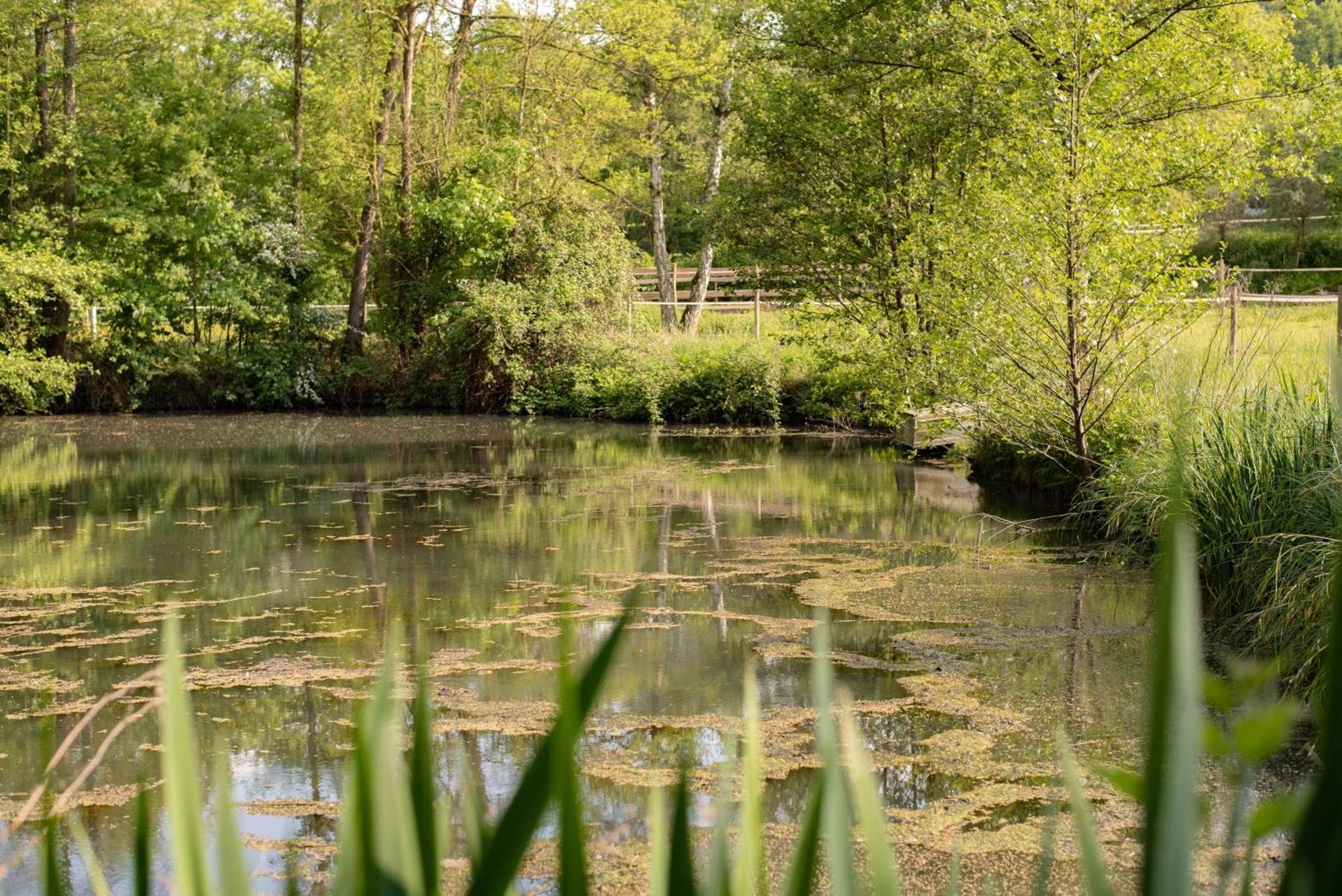 La Sittelle Des Aguesses Andenne Exterior foto
